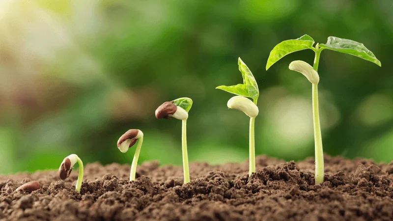 Ag Complex Improvements Among Items to Get Green Light from Board of Regents