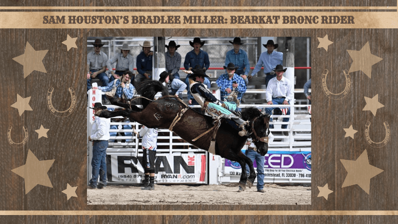Riding High: SHSU Junior Bradlee Miller Eyes Million-Dollar Win at The American Rodeo