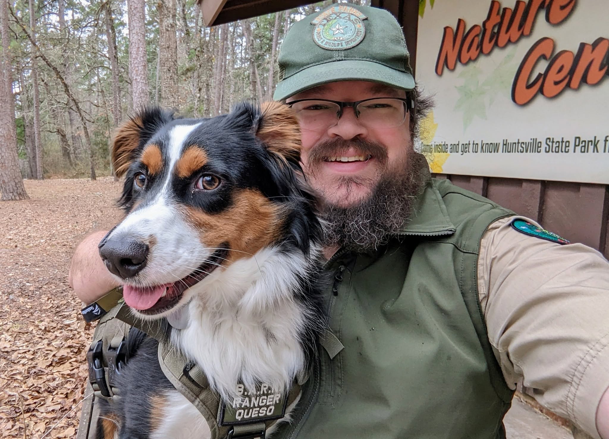 Dogs on the Dogwood