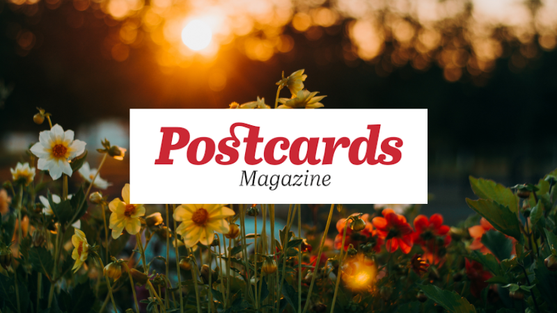 Postcards Magazine Marks 15 Years of Sharing Positive Stories