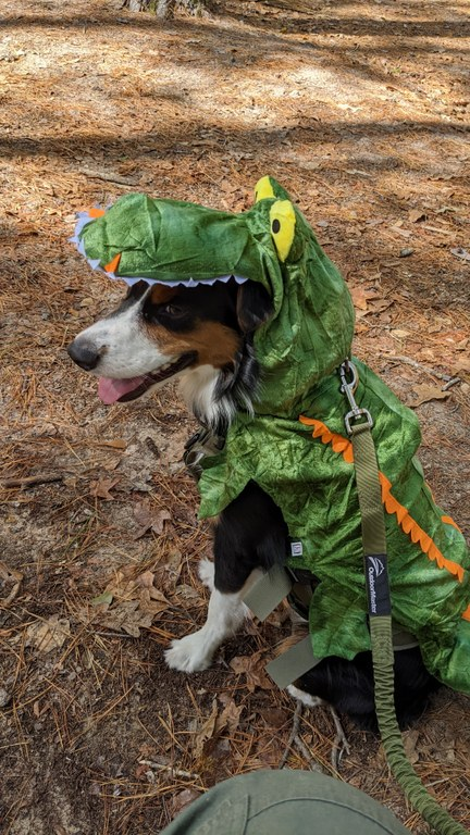 BARK Ranger Costume Photos