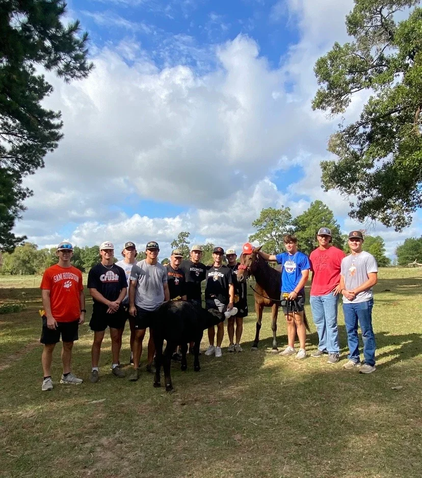 pasted-image-1775854367877.png pasted-image-1775854367877.png