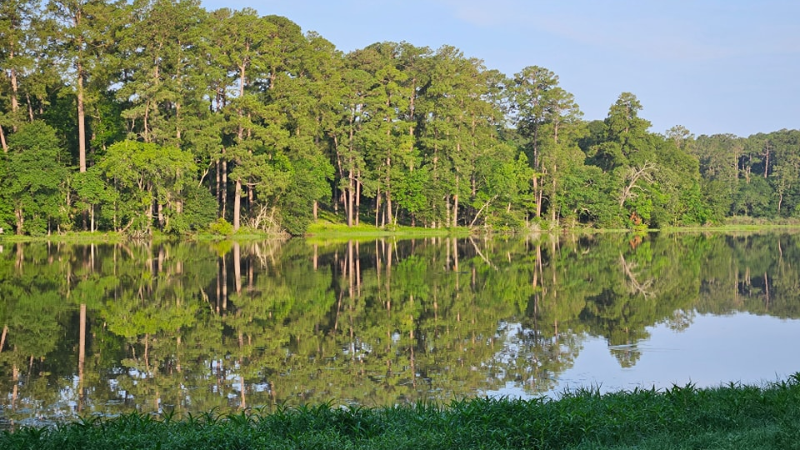 Huntsville State Park Reopens After Recent Flooding - News, Events, and ...